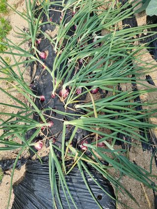 정민지호맘님의 자유주제 · 자유게시판 작성글 사진