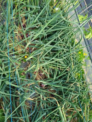 정민지호맘님의 자유주제 · 자유게시판 작성글 사진