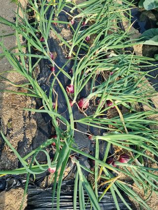 정민지호맘님의 자유주제 · 자유게시판 작성글 사진