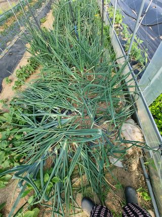 정민지호맘님의 자유주제 · 자유게시판 작성글 사진