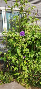 팜모닝 자유주제·자유게시판 게시글 이미지