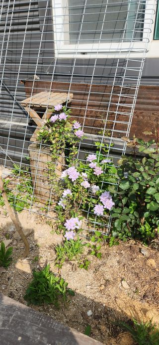 빨간장화농장 김숙자님의 자유주제 · 자유게시판 작성글 사진