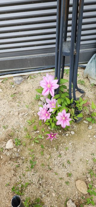 빨간장화농장 김숙자님의 자유주제 · 자유게시판 작성글 사진