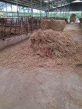 팜모닝 자유주제·사진전 게시글 이미지