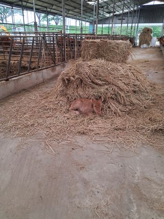 딸기15538님의 자유주제 · 사진전 작성글 사진