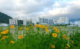 시금치13318님의 자유주제 · 사진전 작성글 사진