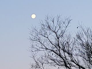 일곱색깔무지개님의 자유주제 · 사진전 작성글 사진