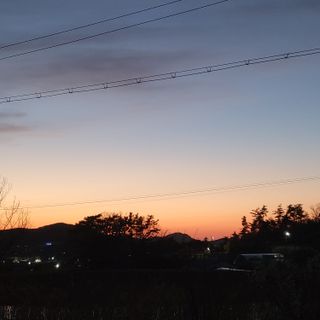 일곱색깔무지개님의 자유주제 · 사진전 작성글 사진