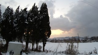 일곱색깔무지개님의 자유주제 · 사진전 작성글 사진