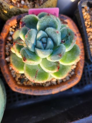 이연옥님의 작성글 사진