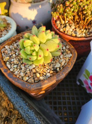 이연옥님의 작성글 사진