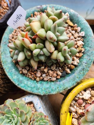 이연옥님의 작성글 사진