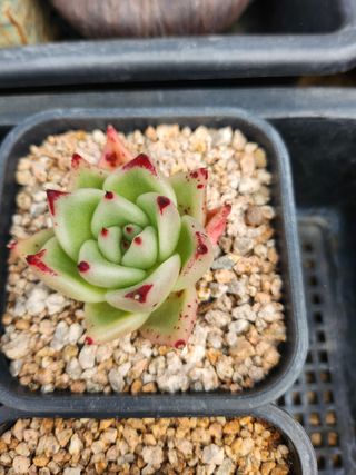 이연옥님의 작성글 사진