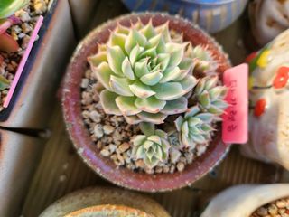 이연옥님의 작성글 사진