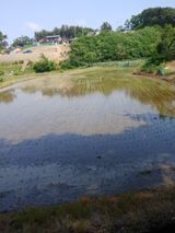 팜모닝 벼·자유게시판 게시글 이미지