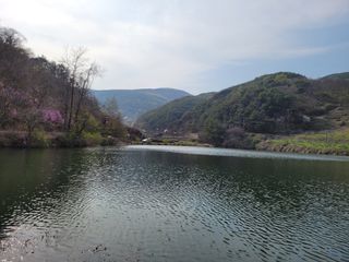 박선하님의 자유주제 · 사진전 작성글 사진