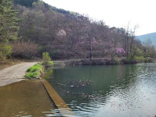 박선하님의 자유주제 · 사진전 작성글 사진