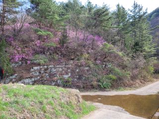 박선하님의 자유주제 · 사진전 작성글 사진