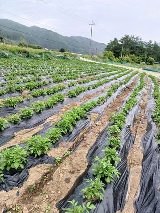 임동화님의 자유주제 · 자유게시판 작성글 사진