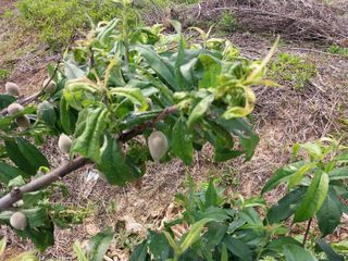 조위래님의 자유주제 · 자유게시판 작성글 사진