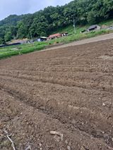 팜모닝 콩·자유게시판 게시글 이미지