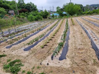 (어울림)님의 자유주제 · 자유게시판 작성글 사진