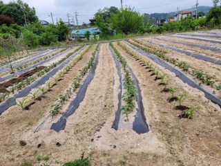 (어울림)님의 자유주제 · 자유게시판 작성글 사진