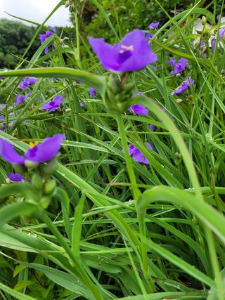 (어울림)님의 자유주제 · 자유게시판 작성글 사진