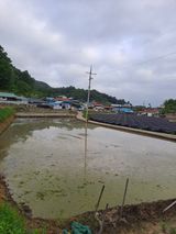 팜모닝 자유주제·사진전 게시글 이미지