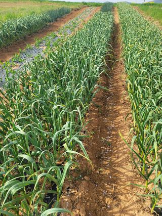 사공훈님의 우리동네 · 동네자랑 작성글 사진