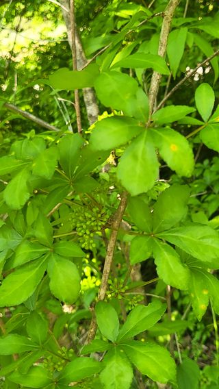 ♡5도2촌pys♡님의 자유주제 · 자유게시판 작성글 사진