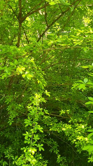 ♡5도2촌pys♡님의 자유주제 · 자유게시판 작성글 사진