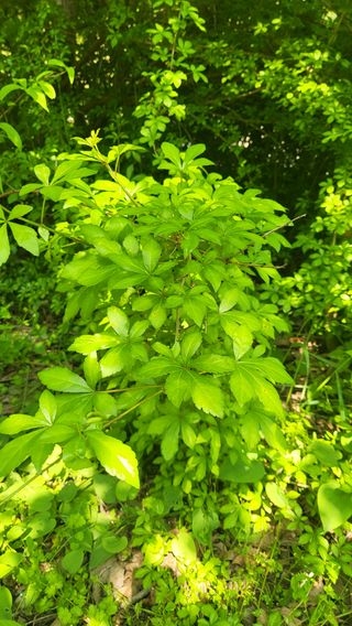 ♡5도2촌pys♡님의 자유주제 · 자유게시판 작성글 사진