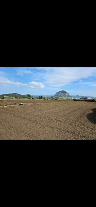 예준예성빠님의 우리동네 · 동네자랑 작성글 사진