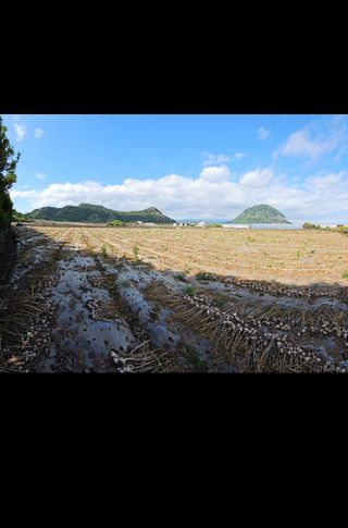 예준예성빠님의 우리동네 · 동네자랑 작성글 사진
