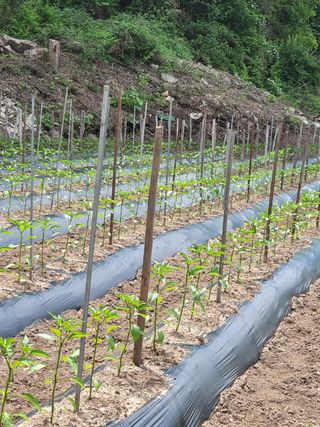 띵띵맘님의 자유주제 · 사진전 작성글 사진