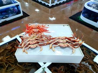 노가네수산님의 우리동네 · 동네수다 작성글 사진