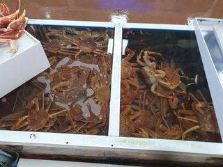 노가네수산님의 우리동네 · 동네수다 작성글 사진