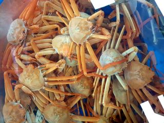 노가네수산님의 우리동네 · 동네수다 작성글 사진