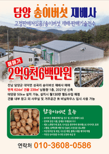 팜모닝 버섯·수확 게시글 이미지