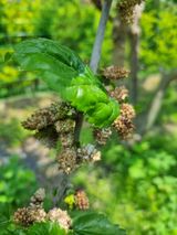 팜모닝 자유주제·자유게시판 게시글 이미지