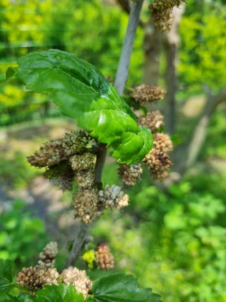 일출님의 자유주제 · 자유게시판 작성글 사진