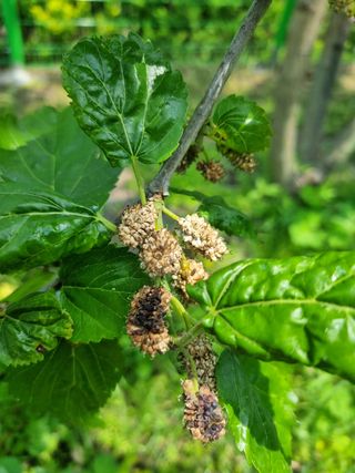 일출님의 자유주제 · 자유게시판 작성글 사진