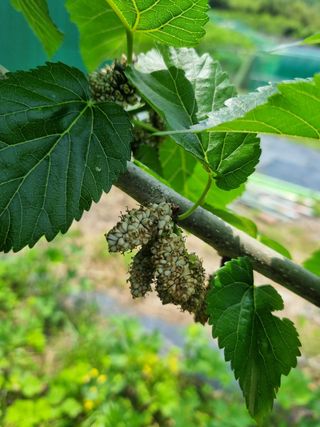 일출님의 자유주제 · 자유게시판 작성글 사진