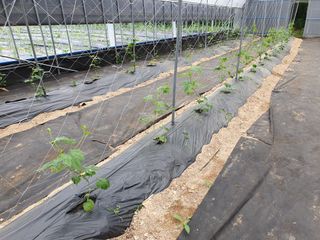 청암농장이은종님의 자유주제 · 자유게시판 작성글 사진