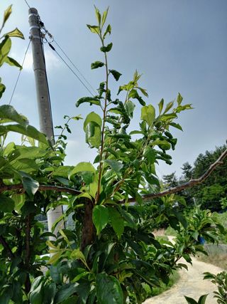 이영선긍증의힘으로님의 자유주제 · 자유게시판 작성글 사진