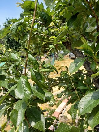 이영선긍증의힘으로님의 자유주제 · 자유게시판 작성글 사진