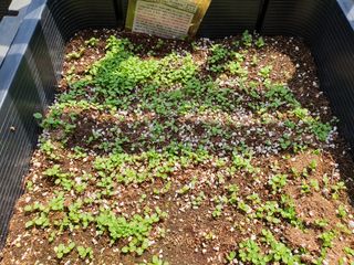 주*희님의 자유주제 · 자유게시판 작성글 사진