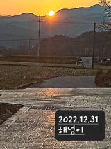 팜모닝 자유주제·사진전 게시글 이미지