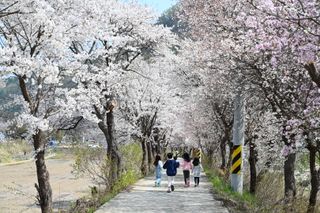 김성남님의 자유주제 · 사진전 작성글 사진